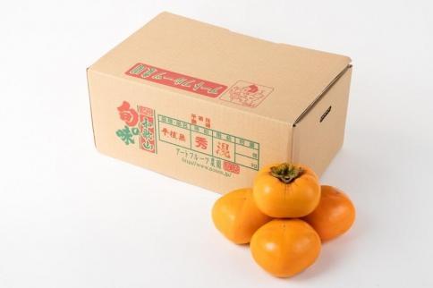 生渋柿たね無 あんぽ柿用T軸枝無約4.5～5kg　約24～30個＜2026年10月中旬～11月上旬ごろ順次発送＞【ART16】