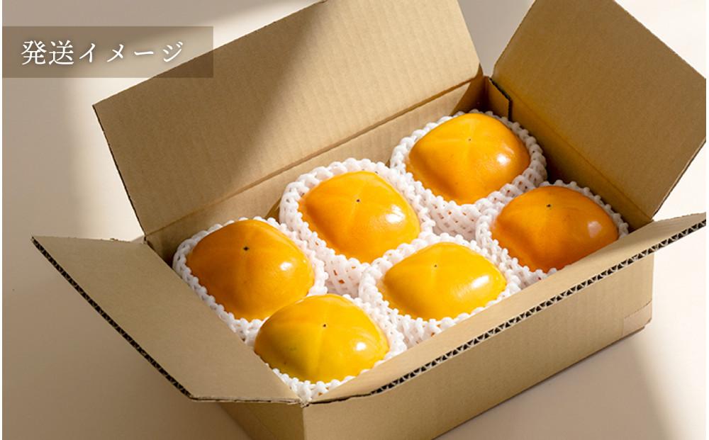 柿 種無し 赤秀品 超大玉 1.8kg 5～6個 ［先行予約］［2026年9月末頃から発送］［KG4］