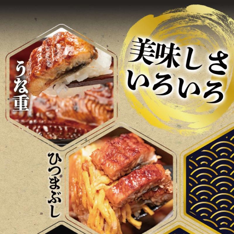 大型サイズ　ふっくら柔らか国産うなぎ蒲焼き　2尾