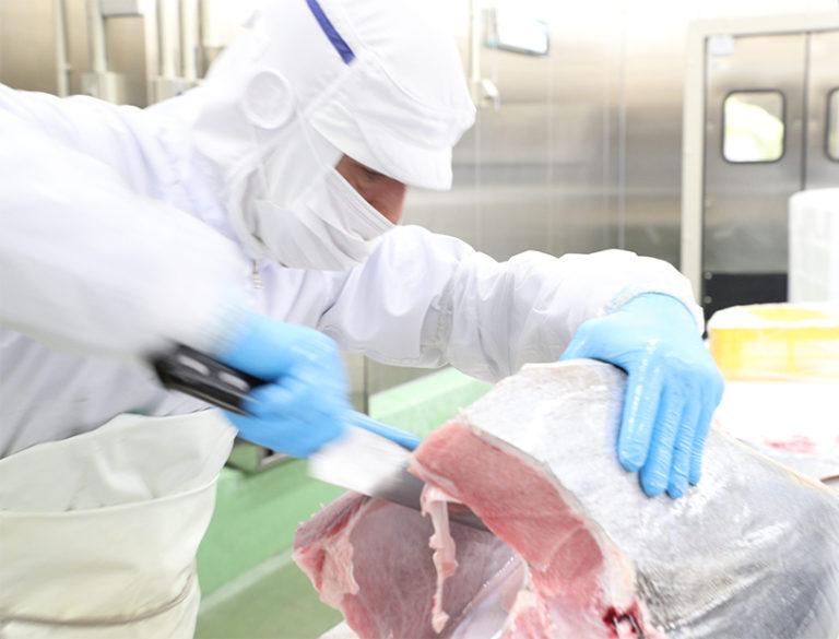 ［年内発送］プレミア和歌山認証品 本マグロ（養殖）トロ＆赤身セット 240g［年末発送（12月25日から30日発送）］［KS11］