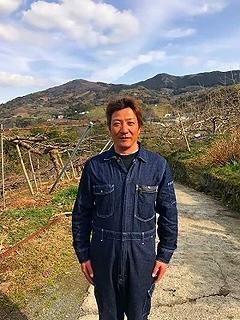 和歌山の太陽のめぐみたっぷり　キウイフルーツ(約３.５kg)★11月下旬～12月上旬発送★