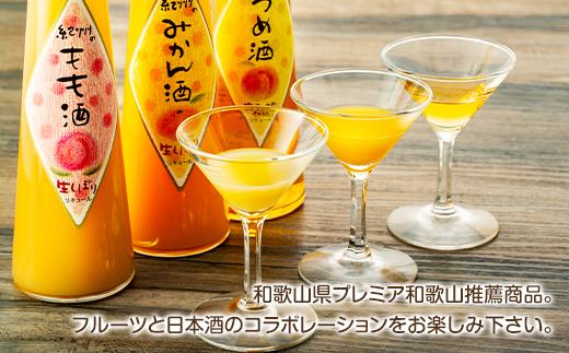 和歌山こだわりリキュール 紀州フルーツの酒3本ギフト