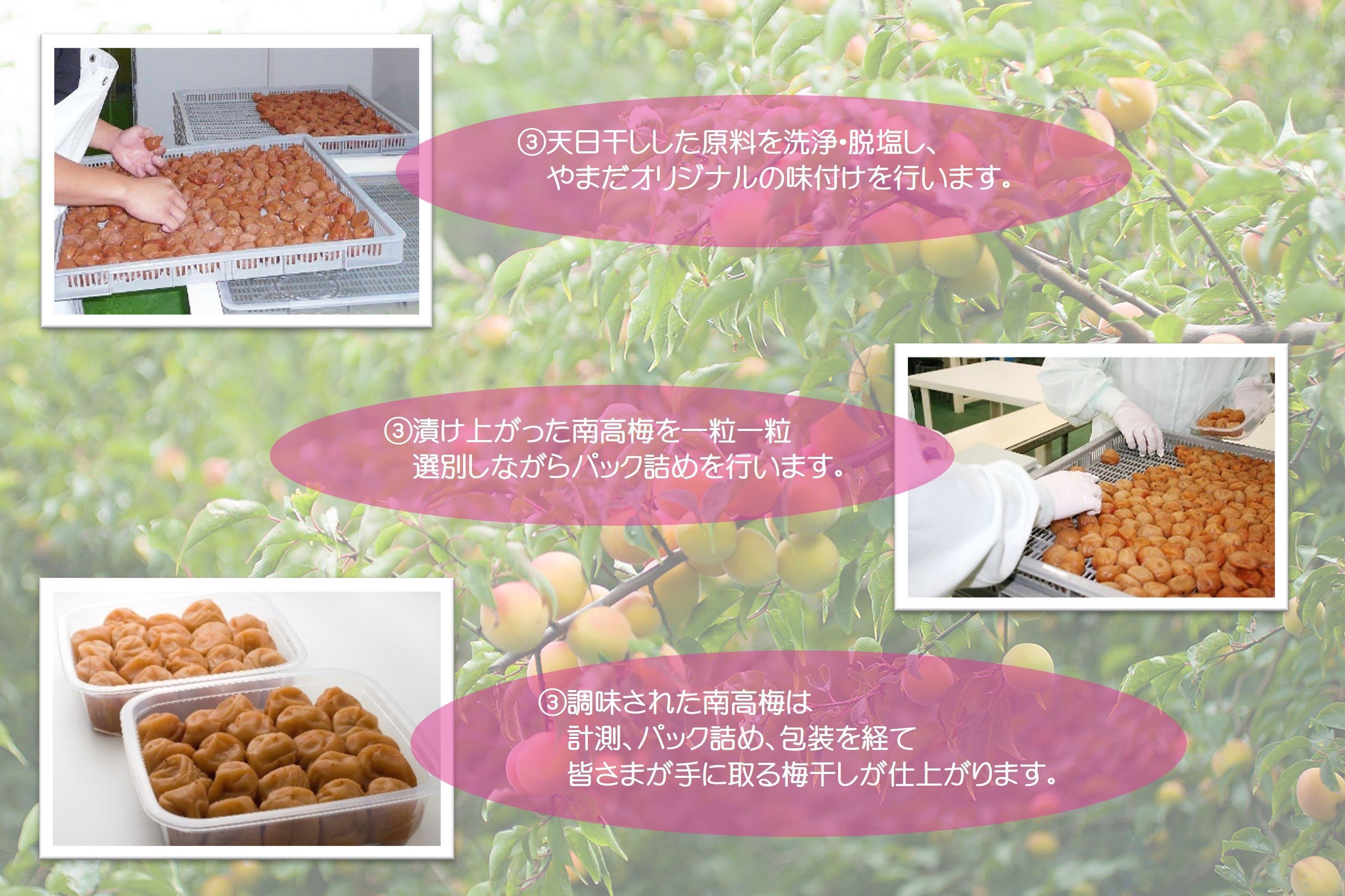 紀州南高梅 「花」 塩分約6％ 850g ［YM8］