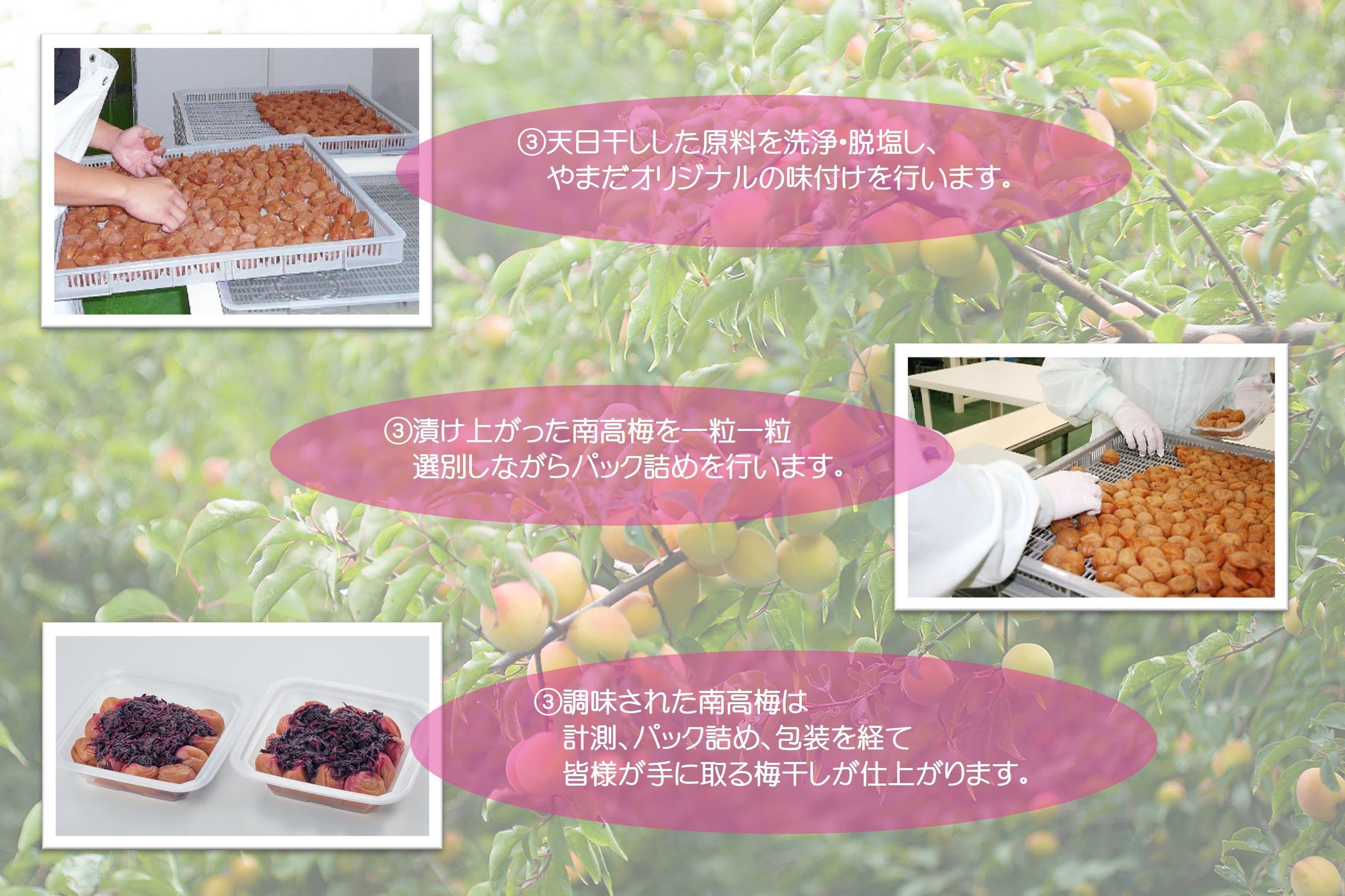 紀州南高梅 しそプレミアム塩分約6％ 500g ［YM13］