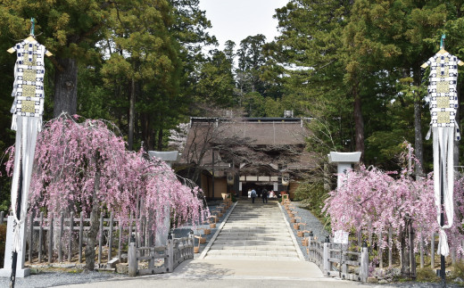 ＜世界遺産高野山＞ 宿坊 宿泊割引チケット 3,000円分