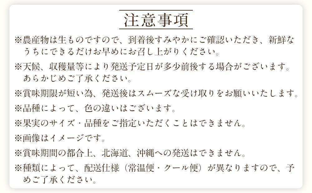定期便全3回 【2月・3月・4月発送】 和歌山の春のフルーツ （ポンカン・清見オレンジ・まりひめ）【TM174】