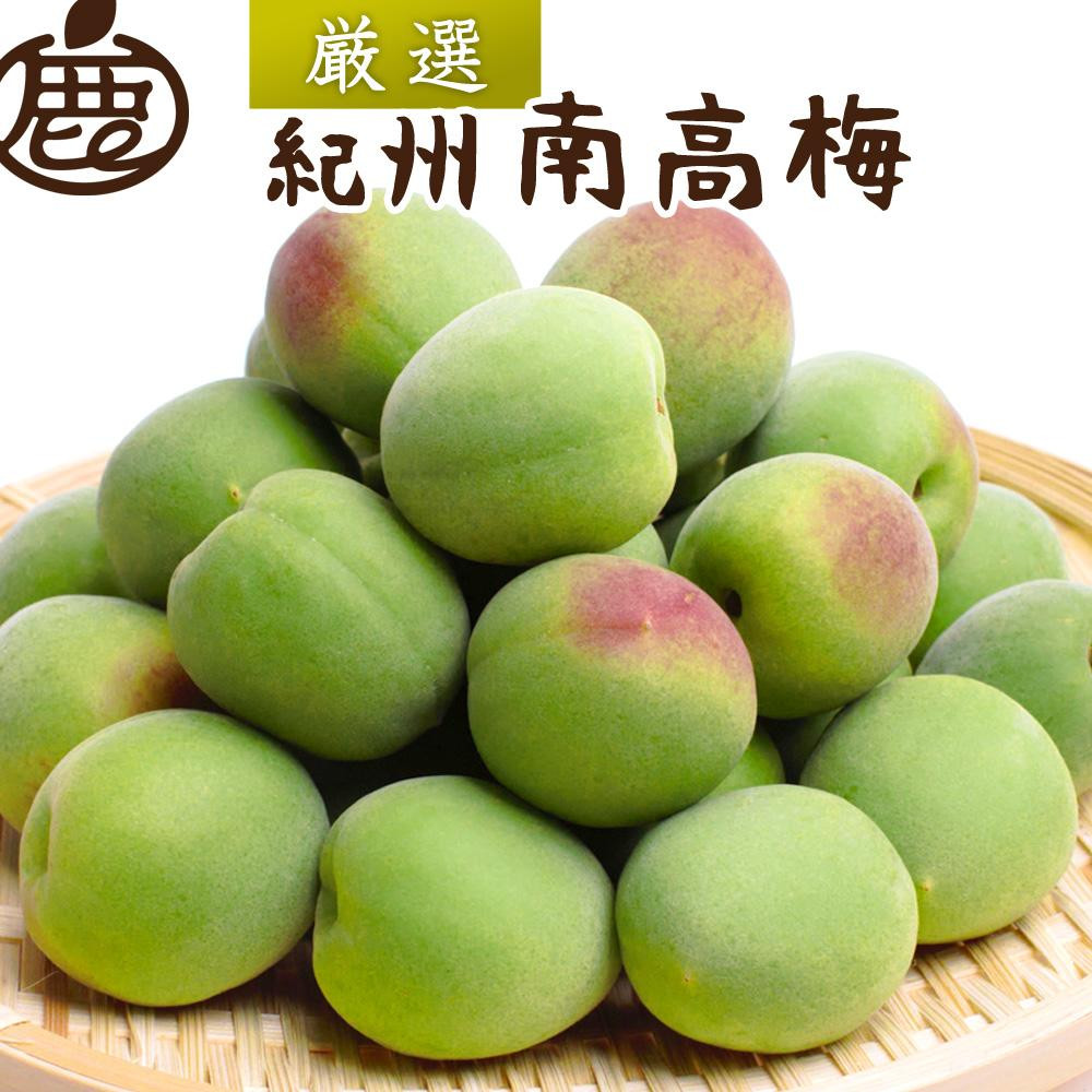 厳選 紀州南高梅(青梅)5kg+250g（傷み補償分）【梅干し・梅酒・梅ジュース】［IKE77］