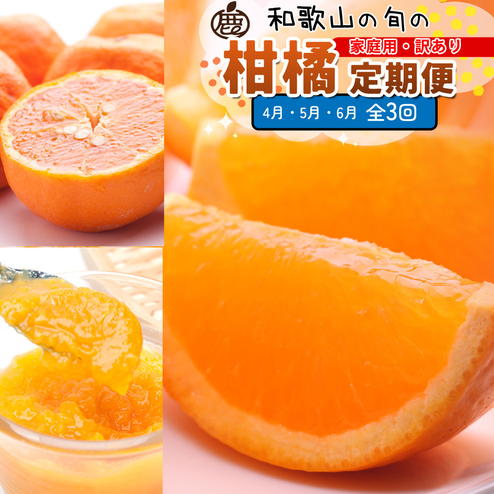 家庭用 柑橘定期便S（4～6月）全3回 ［IKE304］