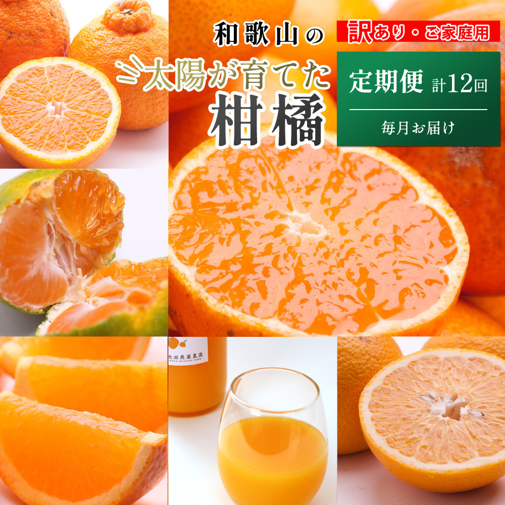 家庭用 柑橘定期便M（毎月）全12回 ［IKE307］