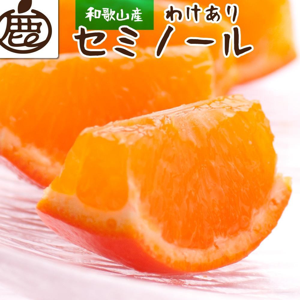 家庭用 セミノールオレンジ10kg+250g（傷み補償分）［春みかん］［訳あり］［光センサー食べ頃出荷］［IKE274］