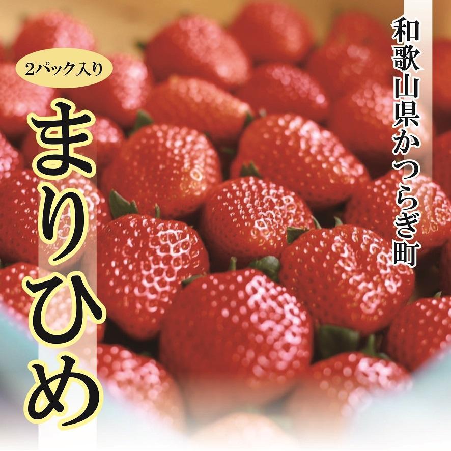 特選☆いちご【まりひめ】1月中旬から5月上旬まで発送【KF9】