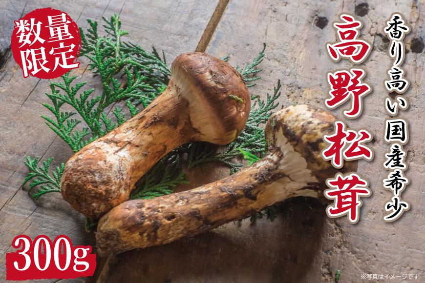 先行予約 国産松茸 約300g 数量限定 香り高く希少【和歌山県高野町産】【2026年9月下旬～11月上旬頃発送予定】