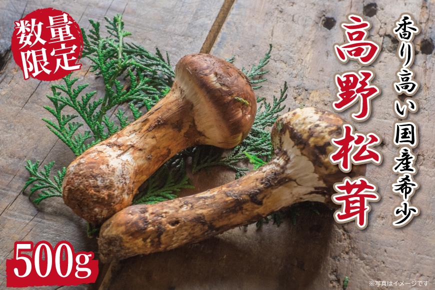 先行予約 国産松茸 約500g 数量限定 香り高く希少【和歌山県高野町産】【2026年9月下旬～11月上旬頃発送予定】