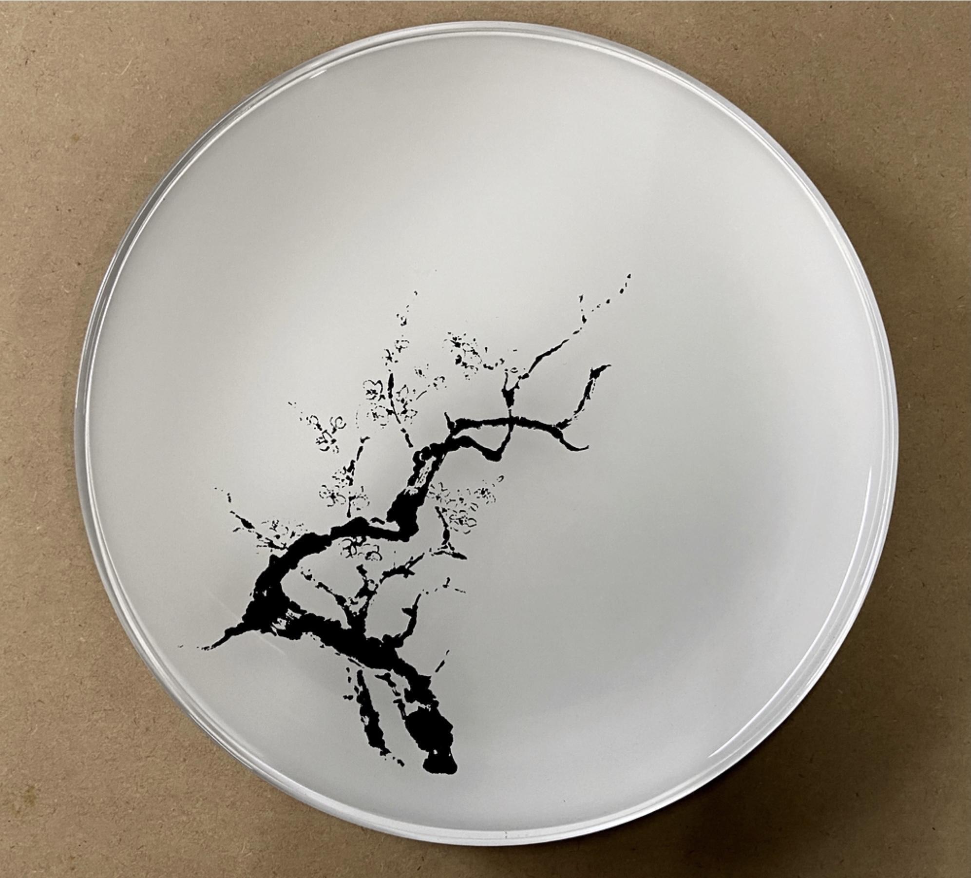 【全4回】 フラットプレートM 定期便 【 3月発送：墨桜純白 6月発送：花火マジョブルー 9月発送:紅葉漆黒 12月発送：マジョ銀箔ブルー 】【NF1】