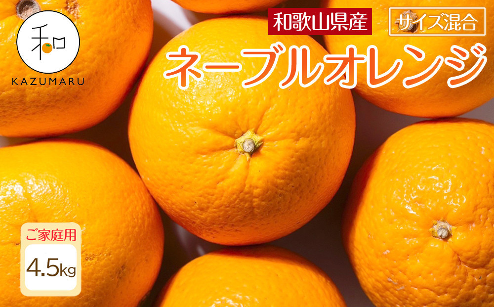 家庭用 森本農園の手選別ネーブルオレンジ 4.5kg 和歌山県産 サイズ混合 ［北海道・沖縄・離島配送不可］［RN17］［2026年1月上旬から順次発送］