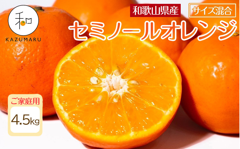 家庭用 森本農園の手選別 セミノールオレンジ 4.5kg 和歌山県産 サイズ混合 ［北海道・沖縄・離島配送不可］［RN27］［2026年4月中旬から順次発送］