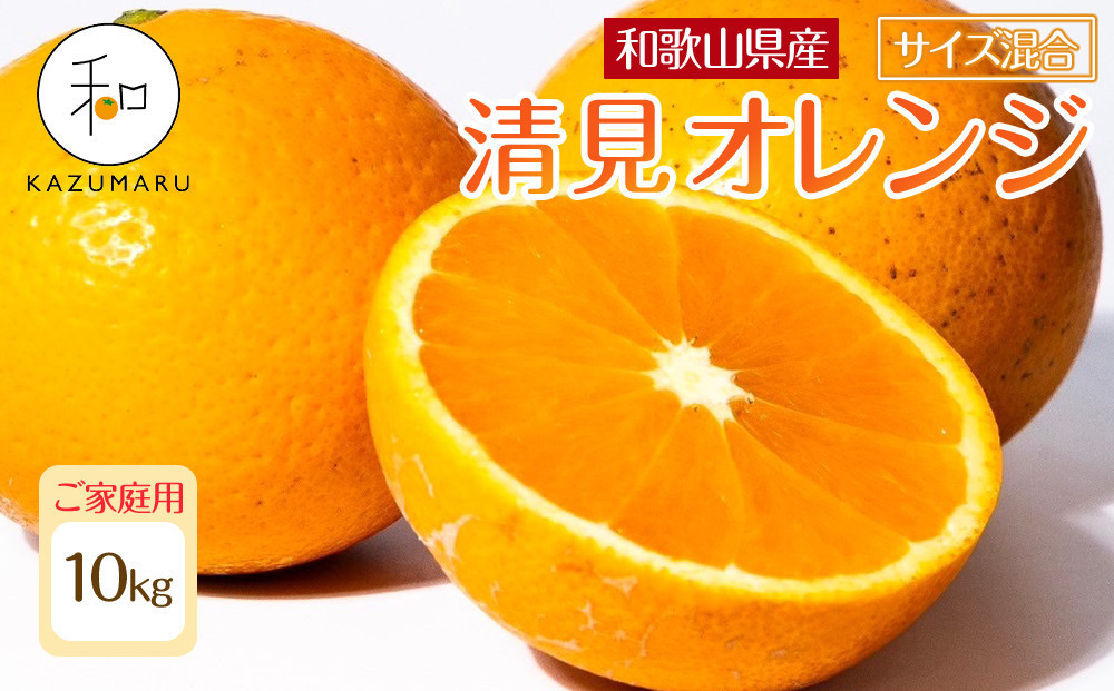 家庭用 森本農園の手選別 清見オレンジ 10kg 和歌山県産 サイズ混合 ［北海道・沖縄・離島配送不可］［RN39］［2026年2月上旬から5月中旬頃順次発送予定］
