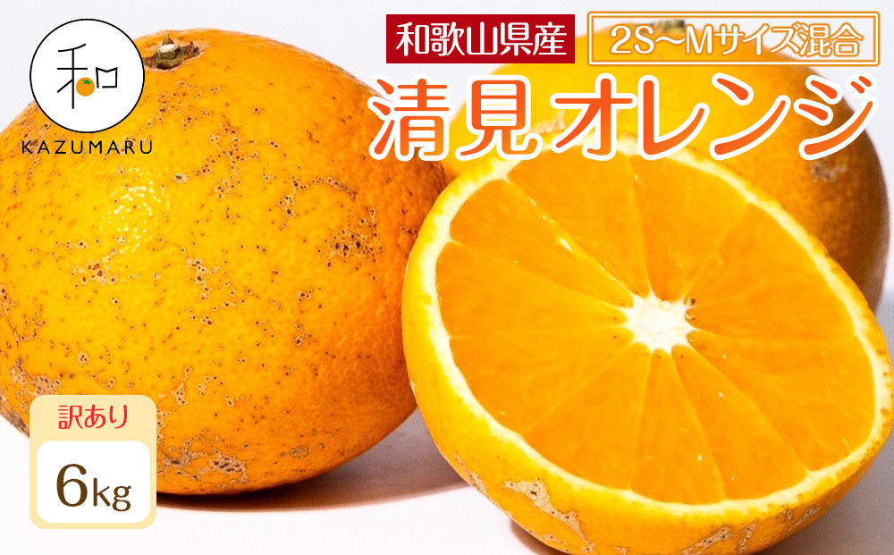 訳あり 森本農園の手選別 小粒清見オレンジ 約6kg 和歌山県産 2S～Mサイズ混合 ［北海道・沖縄・離島配送不可］［2026年2月上旬から5月中旬頃順次発送予定］［RN97］