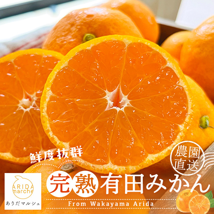農家直送 完熟 有田みかん 10kg［先行予約 2026年12月発送 ］［MS13-2］