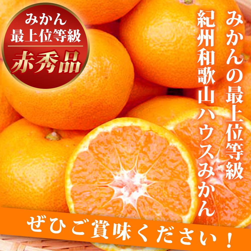 赤秀品 紀州和歌山ハウスみかん 2.5kg［2026年6月末頃～2026年7月中旬頃に順次発送］［UT87］