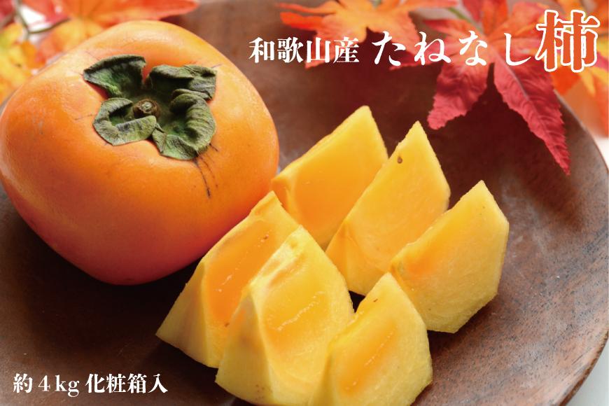 【秋の味覚】和歌山産たねなし柿2L～4Lサイズ約4kg（化粧箱入り）★2026年10月頃より順次発送［TM192］