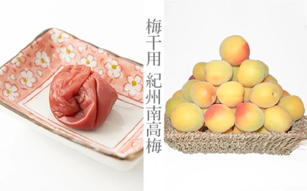 ［梅干・梅酒用］（2LまたはL－2Kg）熟南高梅＜2026年6月上旬～7月7日発送予定＞フルーツ 果物 くだもの 食品 人気 おすすめ 送料無料［ART04］