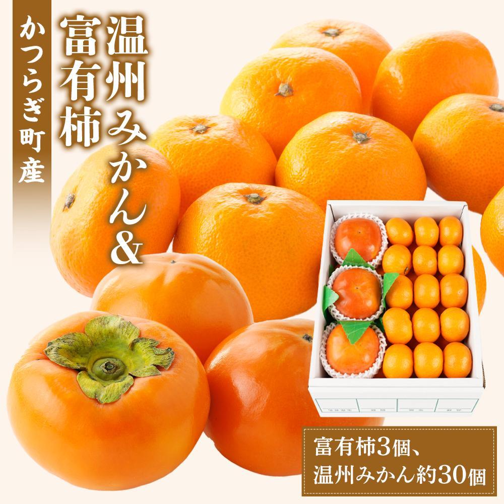 道の駅くしがきの里セット 富有柿3個・温州みかん約30個の詰め合わせ こだわり農家厳選［2026年11月初旬から11月末頃順次発送］［KG29］