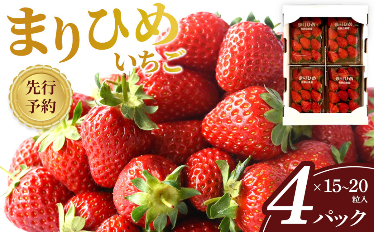 先行予約 まりひめいちご 15～20粒入×4パック 食べやすいひと口サイズ こだわり 農家厳選 ［KG32］