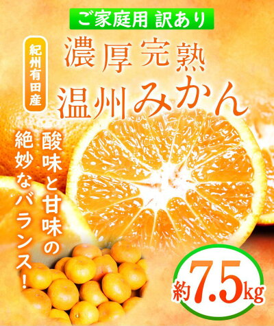 G7345_【2026年11月下旬より発送】紀州 有田産 濃厚甘熟 温州