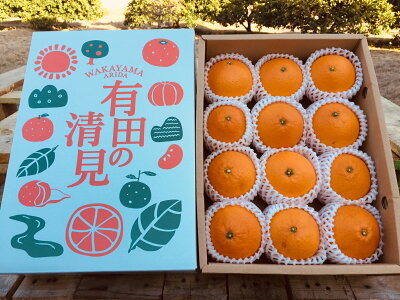 ZE6118n_【2026年先行予約】和歌山県産 有田の 清見 化粧箱入