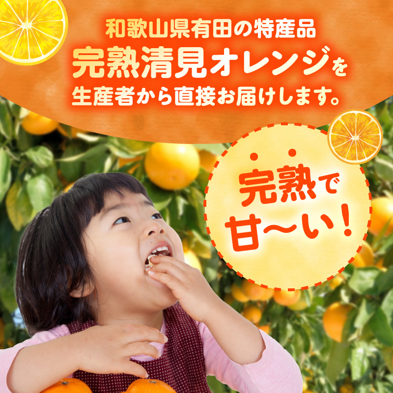 ZN6001n_【2026年先行予約】和歌山県有田産 完熟 清見オレンジ