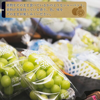 AV6002n_果物たっぷり ジェラート 8個 セット【デザート スイ