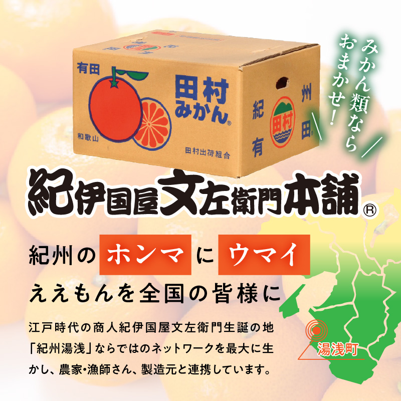 V7453_【2026年先行予約】田村みかん／4kg秀品 【サイズ指定な