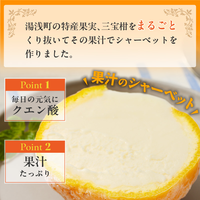 ZP6009n_まるごと三宝柑シャーベット 5個 セット
