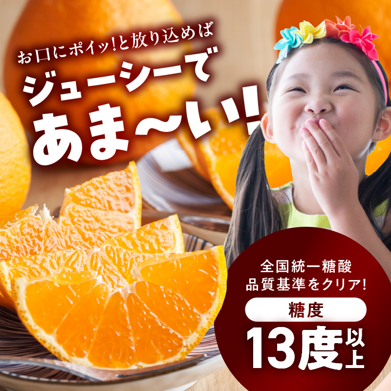 BD6004n_【2026年先行予約】デコポン 秀品 約 5kg 18 ～ 24玉 不知