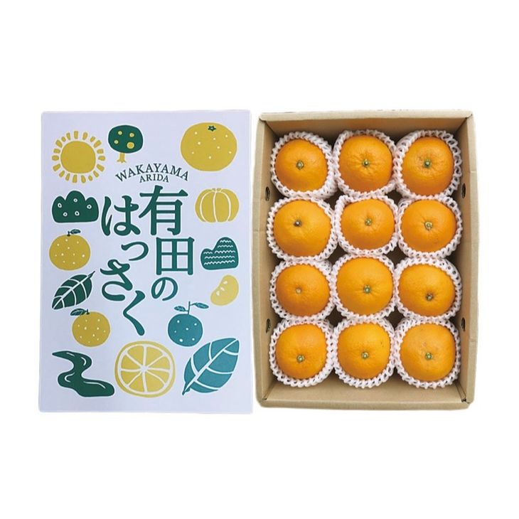 ZE6079n_【2026年先行予約】有田の八朔 (はっさく) 【化粧箱 】