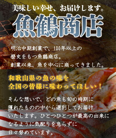 G7004_大型サイズ ふっくら柔らか 国産うなぎ 蒲焼き 容量 発