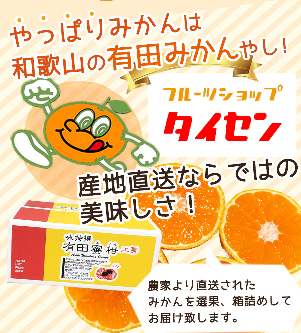 ZJ6079_ご家庭用　和歌山 有田みかん 約10kg (2L、3Lサイズ)【湯