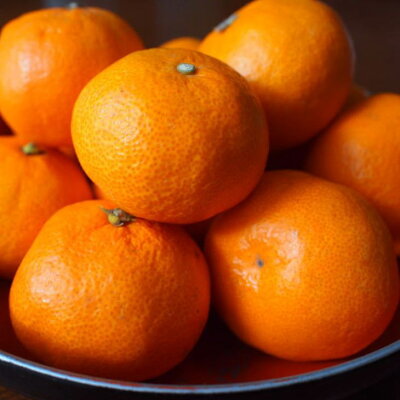 ZD6218n_【高糖系】【2026年先行予約】 貯蔵越冬 丹生系 みか