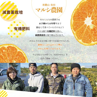 BF6005n_【数量限定】【赤秀特選品】有田みかん S, Мサイズ 