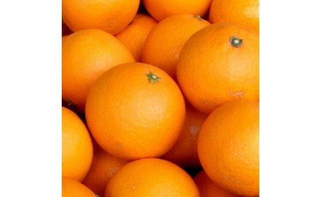 V7307_清見オレンジ 約6kg 湯浅町田村産 春みかん （果実サイ