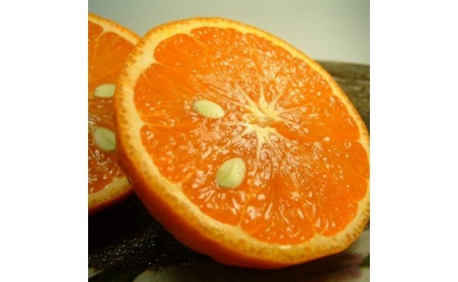 V7415_カラマンダリン[約2.8kg]和歌山県有田産 春みかん (果実