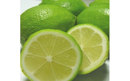 AB6066n_【国産】紀州和歌山産 有田レモン 1kg (サイズ混合)【