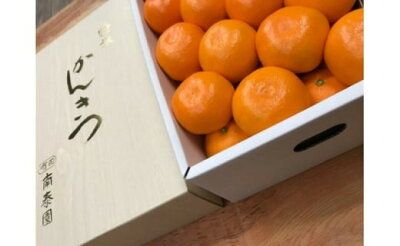 ZF6034n_【完熟早生・有田みかん】化粧箱『特秀』 4kg Lサイズ