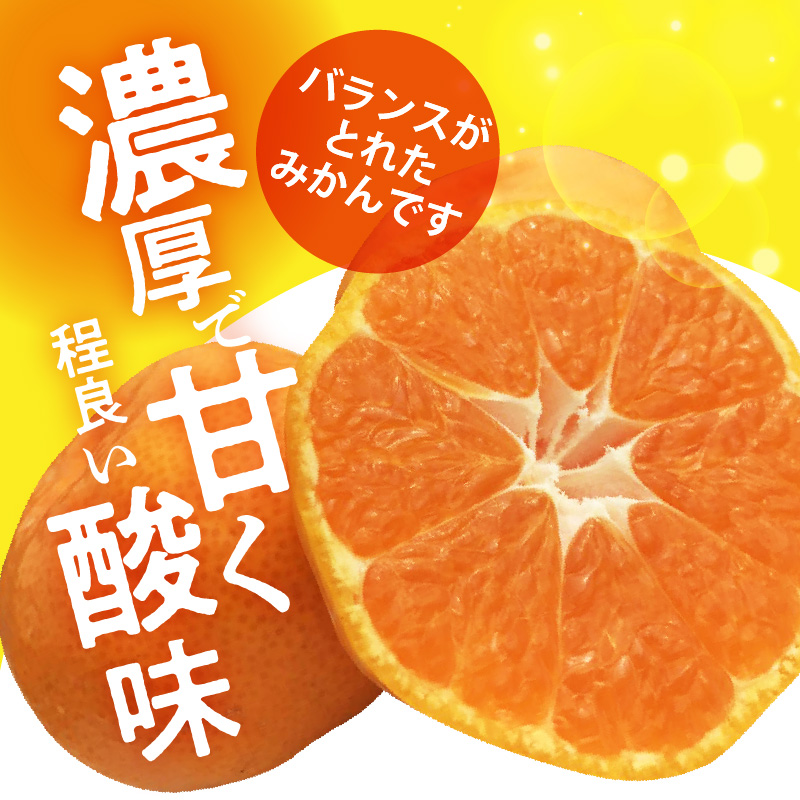 H6012n_天の恵み 温州みかん 訳あり 5kg【ミカン 蜜柑 柑橘 温