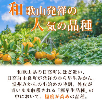 G7098_ 【2026年 先行予約】紀州和歌山有田産 ゆら早生みかん 