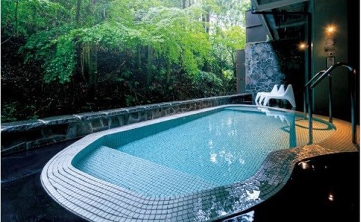 AP6008n_二ノ丸温泉 入浴券5枚【チケット 券 温泉 旅館 トラベ