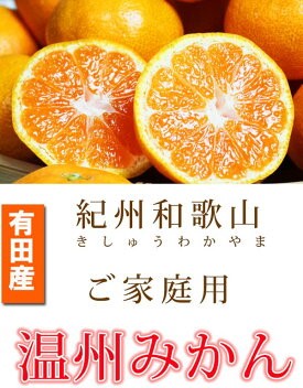 G7045_紀州 有田産 濃厚甘熟 温州みかん 5kg【家庭用 訳あり】