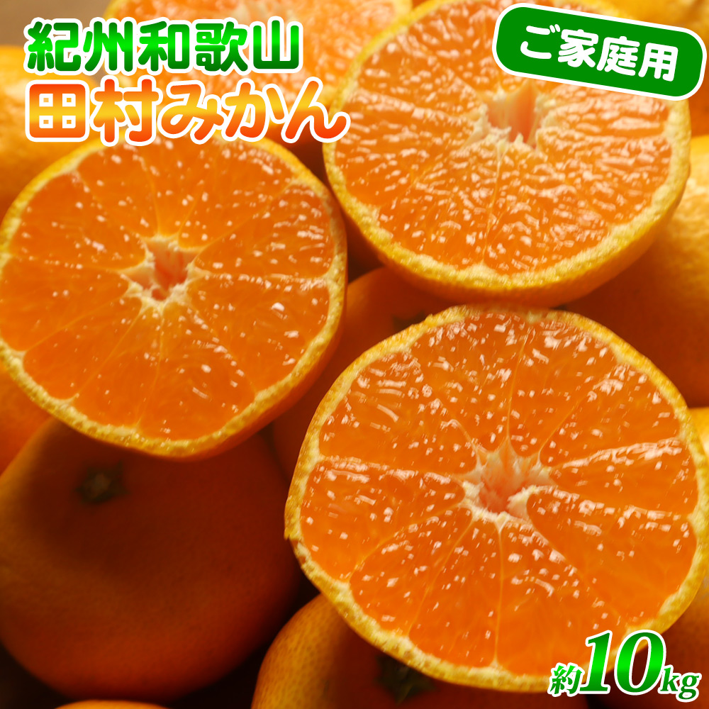 G7053_【2026年11月下旬より発送】高級ブランド 田村みかん 10k