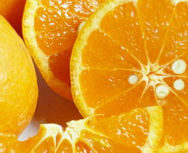 G7073_【2026年先行予約】初夏のみかん なつみ 7.5kg【家庭用 